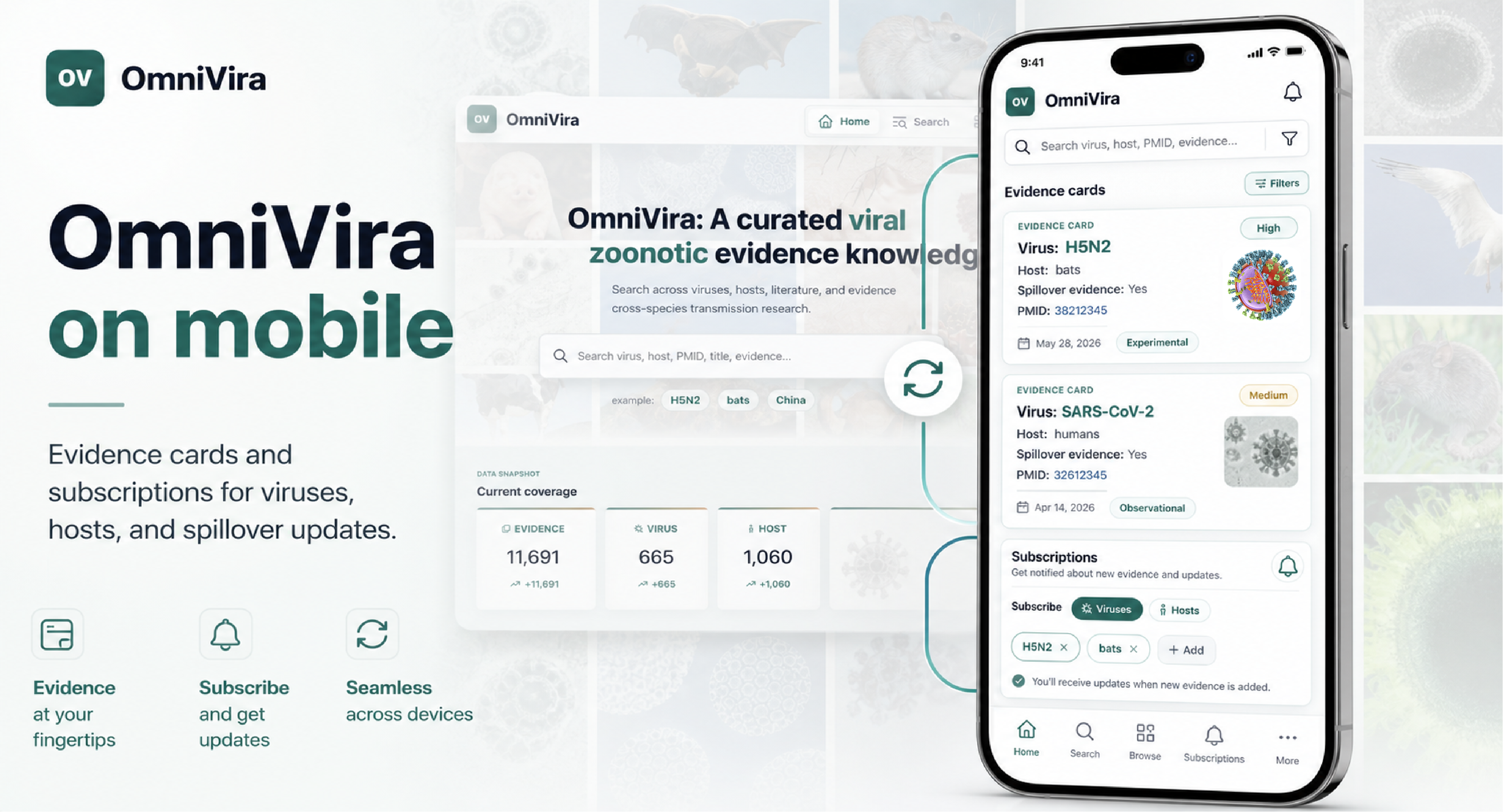 OmniVira homepage desktop and mobile preview